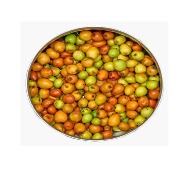 Fresh Organic Kul/ Ber/ Jujube