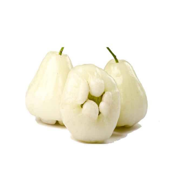Fresh Organic White Jamrul