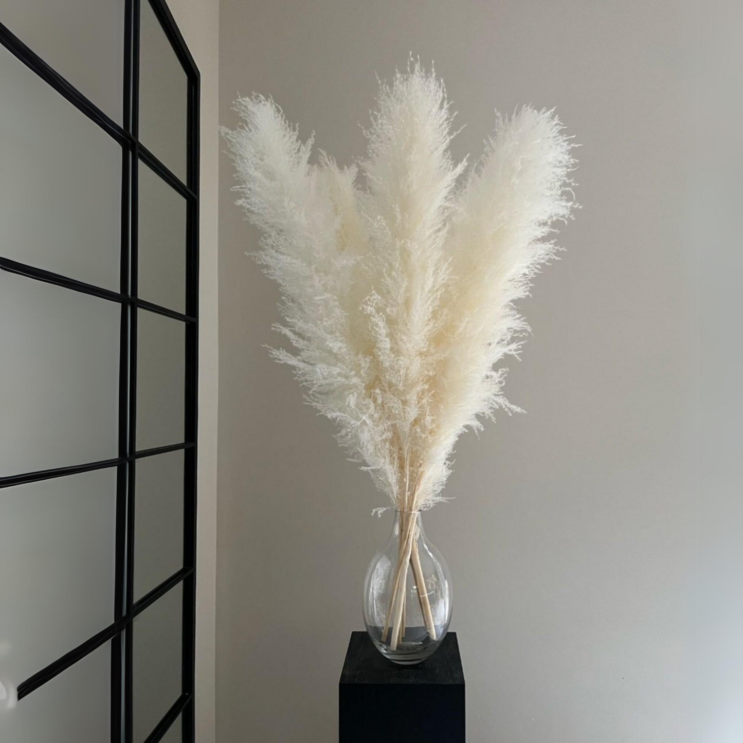 Premium Fluppy Pampas White 3 Pcs