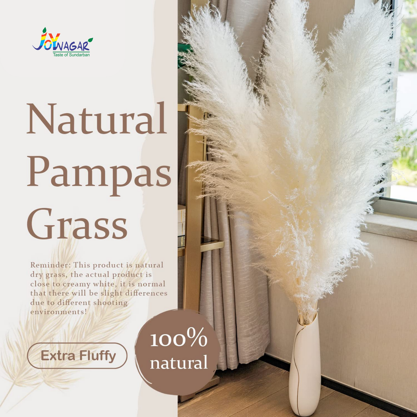 Premium Fluppy Pampas White 3 Pcs