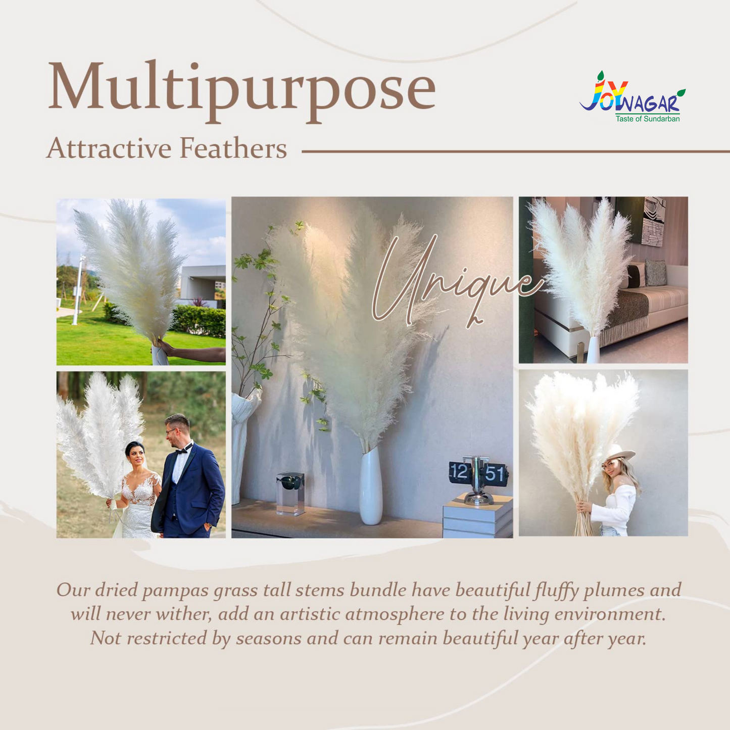 Premium Fluppy Pampas White 3 Pcs
