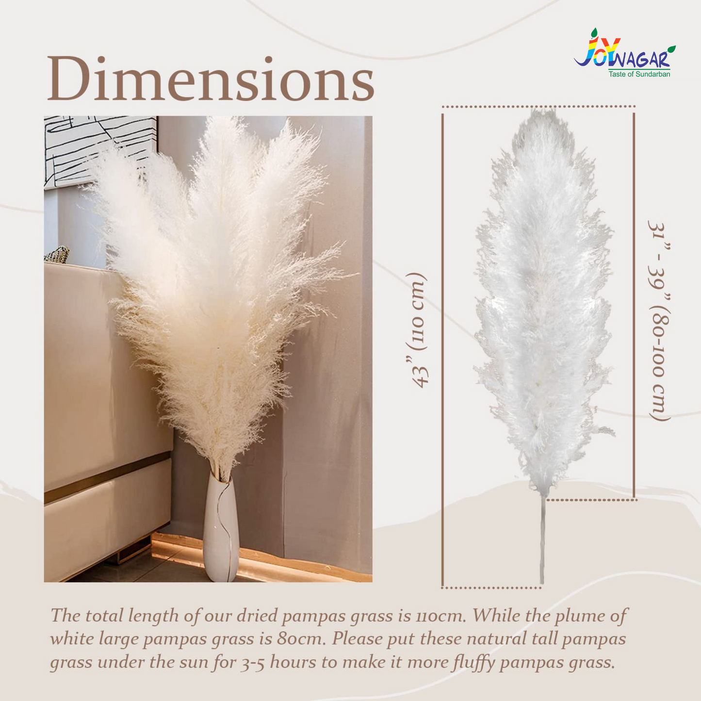 Premium Fluppy Pampas White 3 Pcs