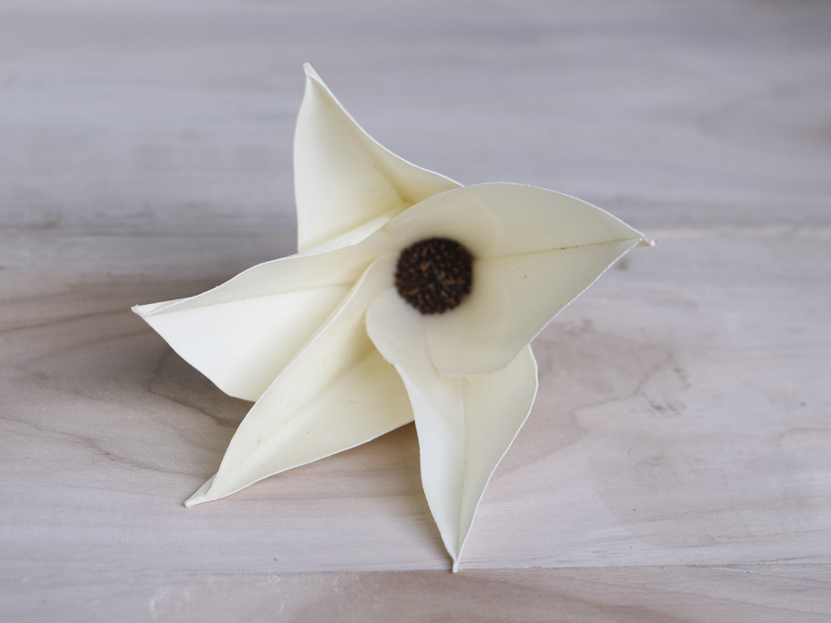 Daisy Palm Lily Flower Jumbo