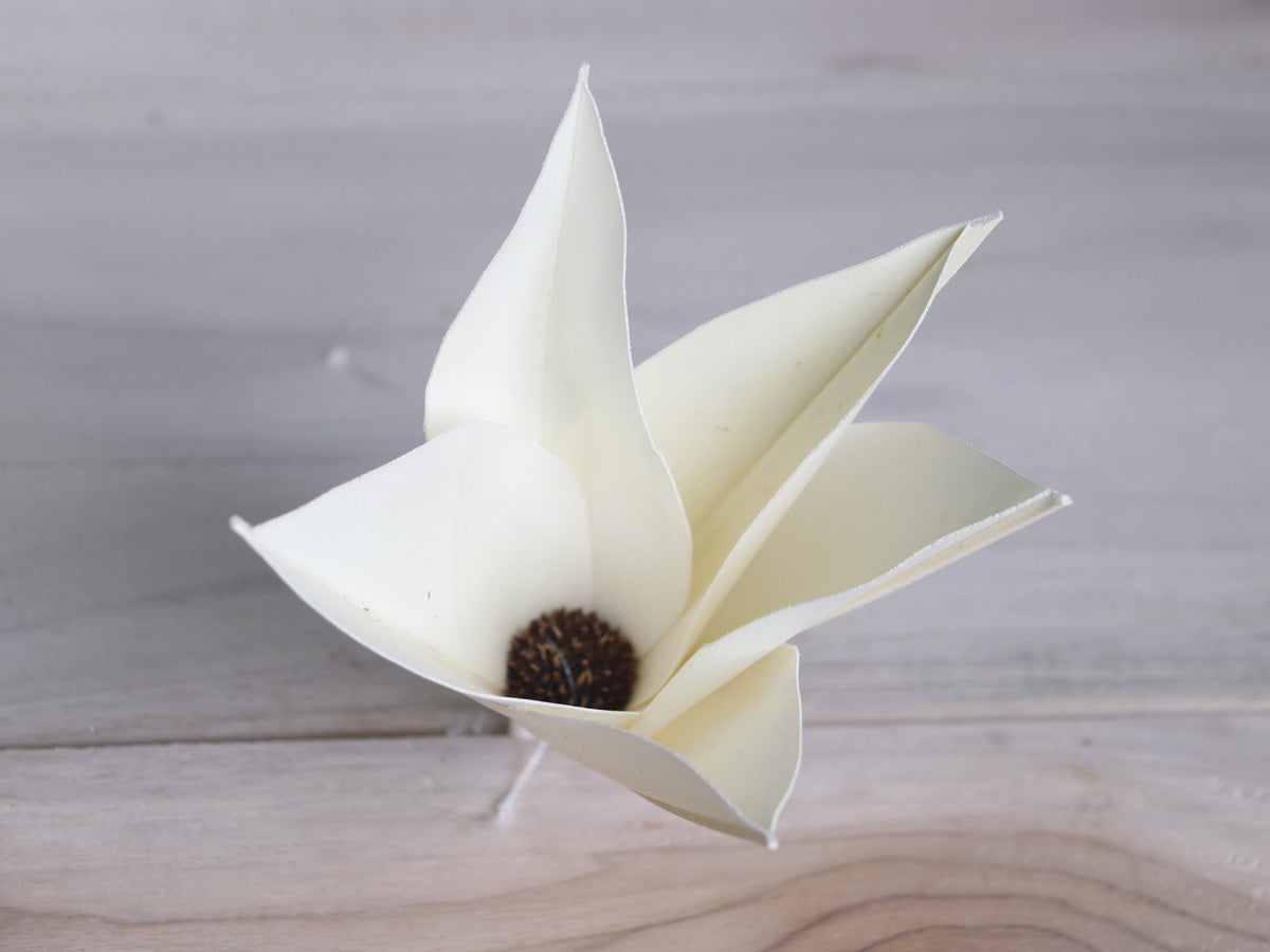 Daisy Palm Lily Flower Jumbo