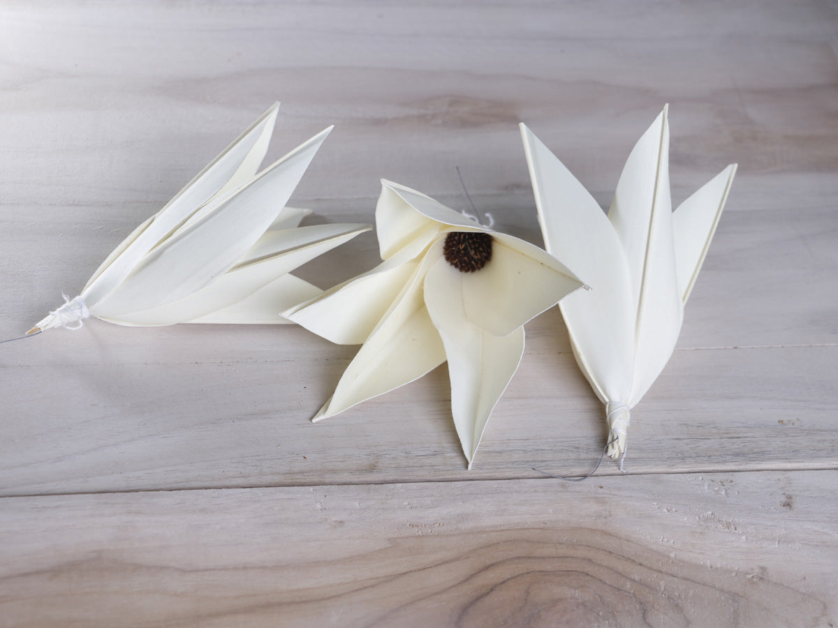 Daisy Palm Lily Flower Jumbo