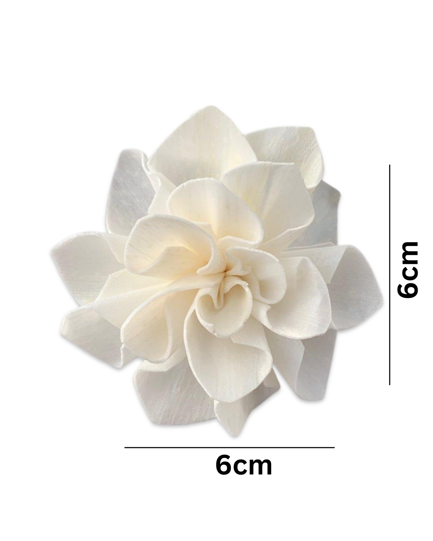 Abigail Sola Wood Flower