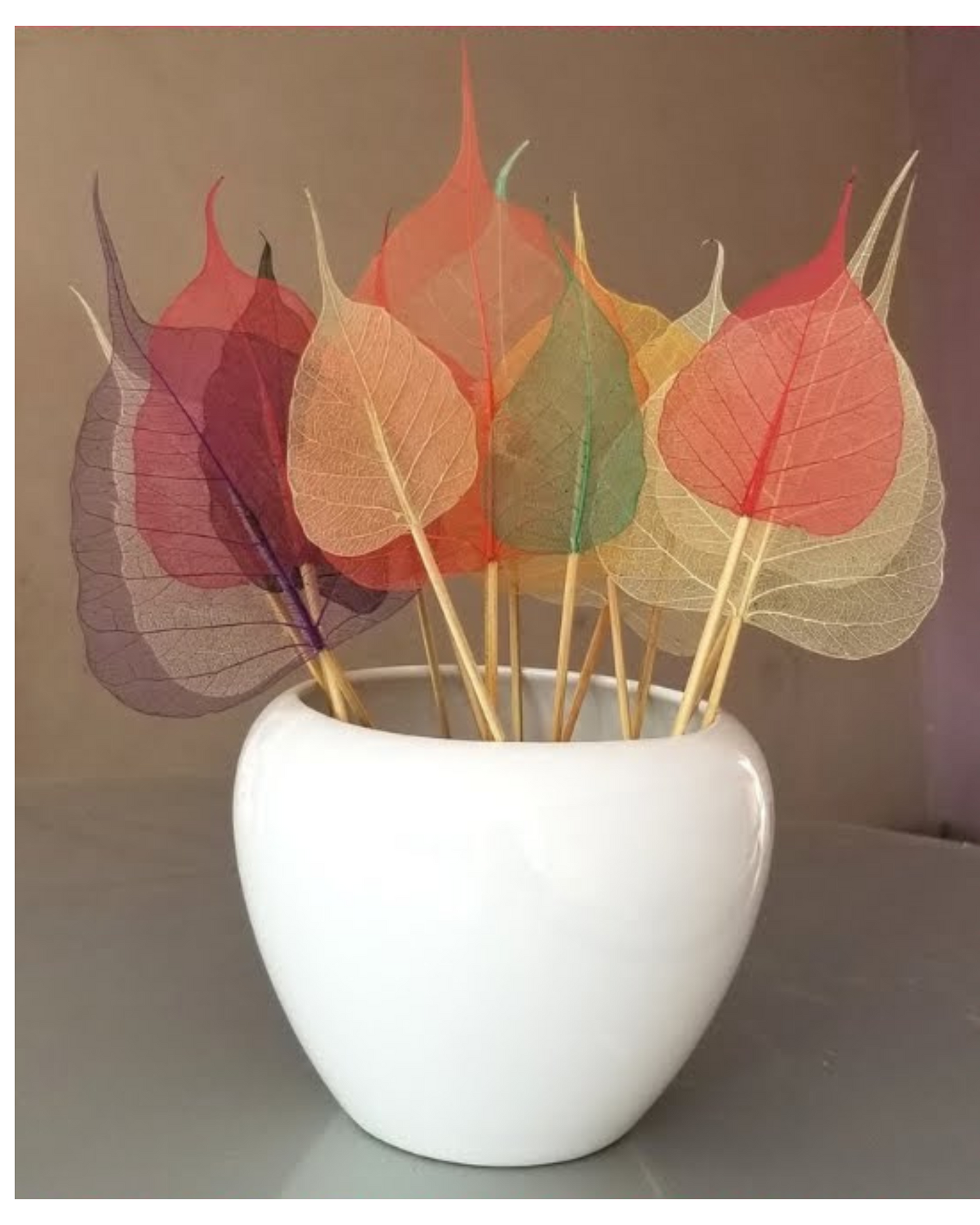 Natural Dried Pepal Leaves Skeleton Net