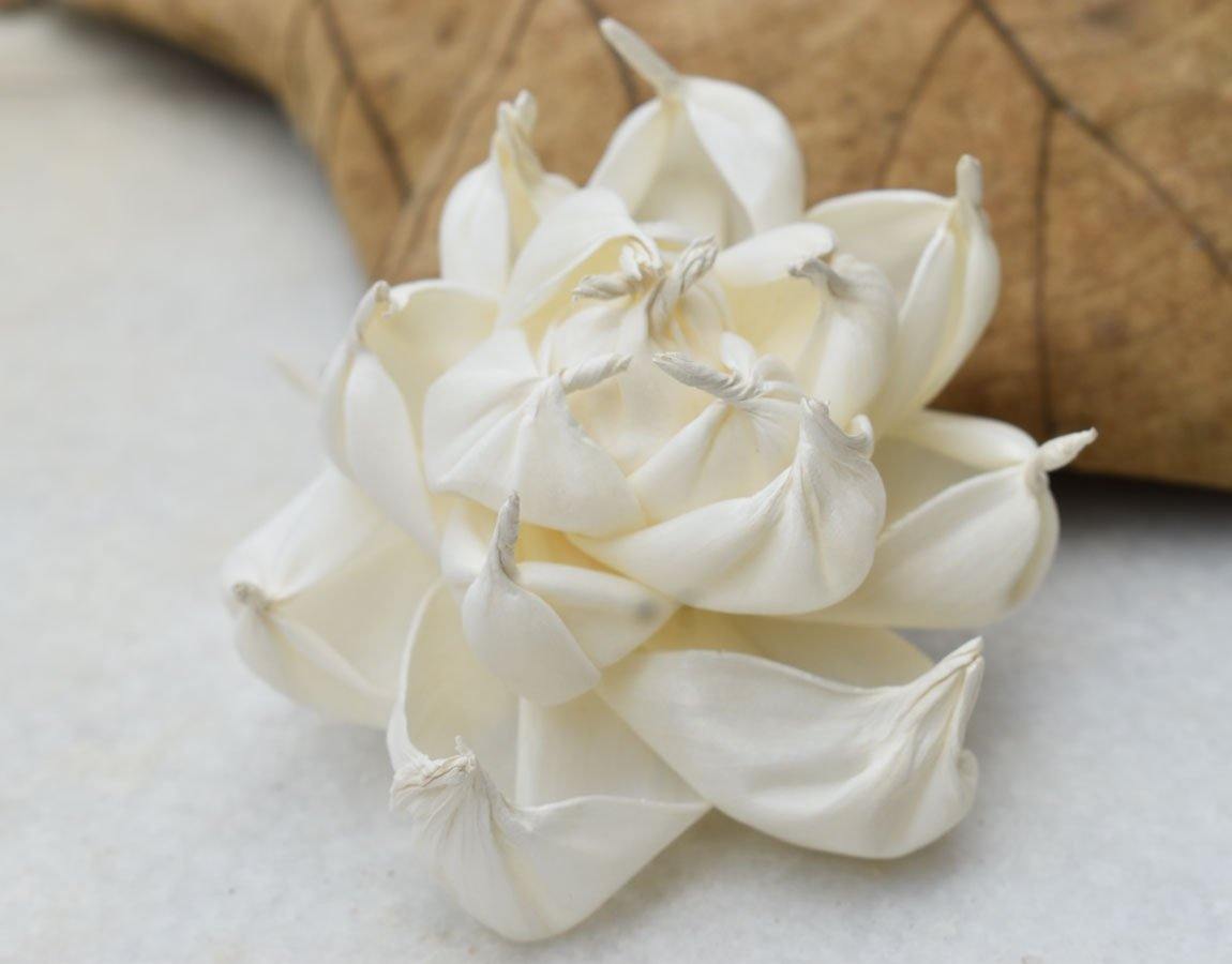 Poise Sola Wood Flower