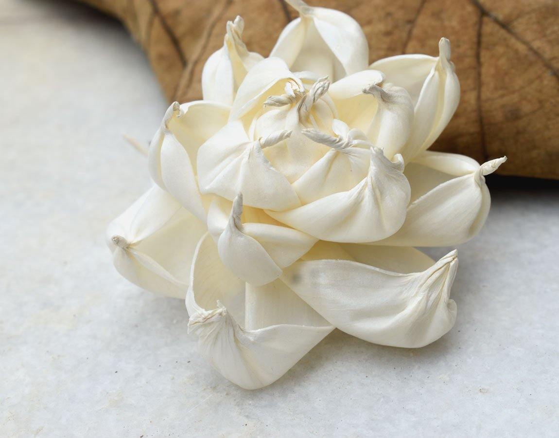 Poise Sola Wood Flower