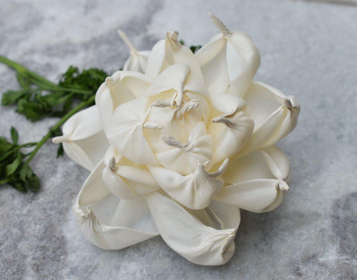 Poise Sola Wood Flower