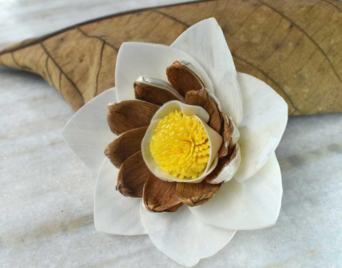 Briony Sola Wood Flower