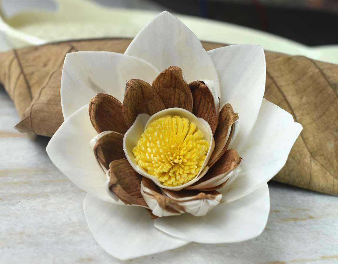 Briony Sola Wood Flower