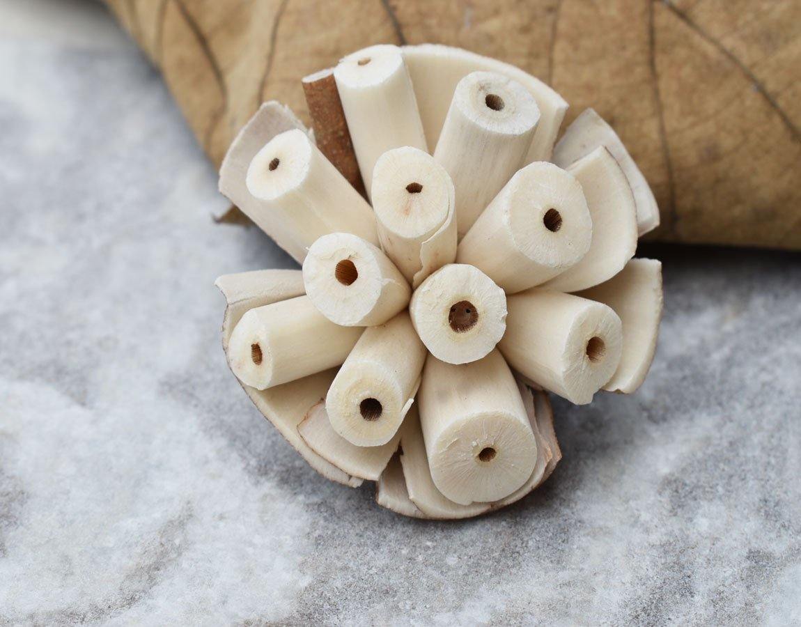 Burl Sola Wood Skin Flower
