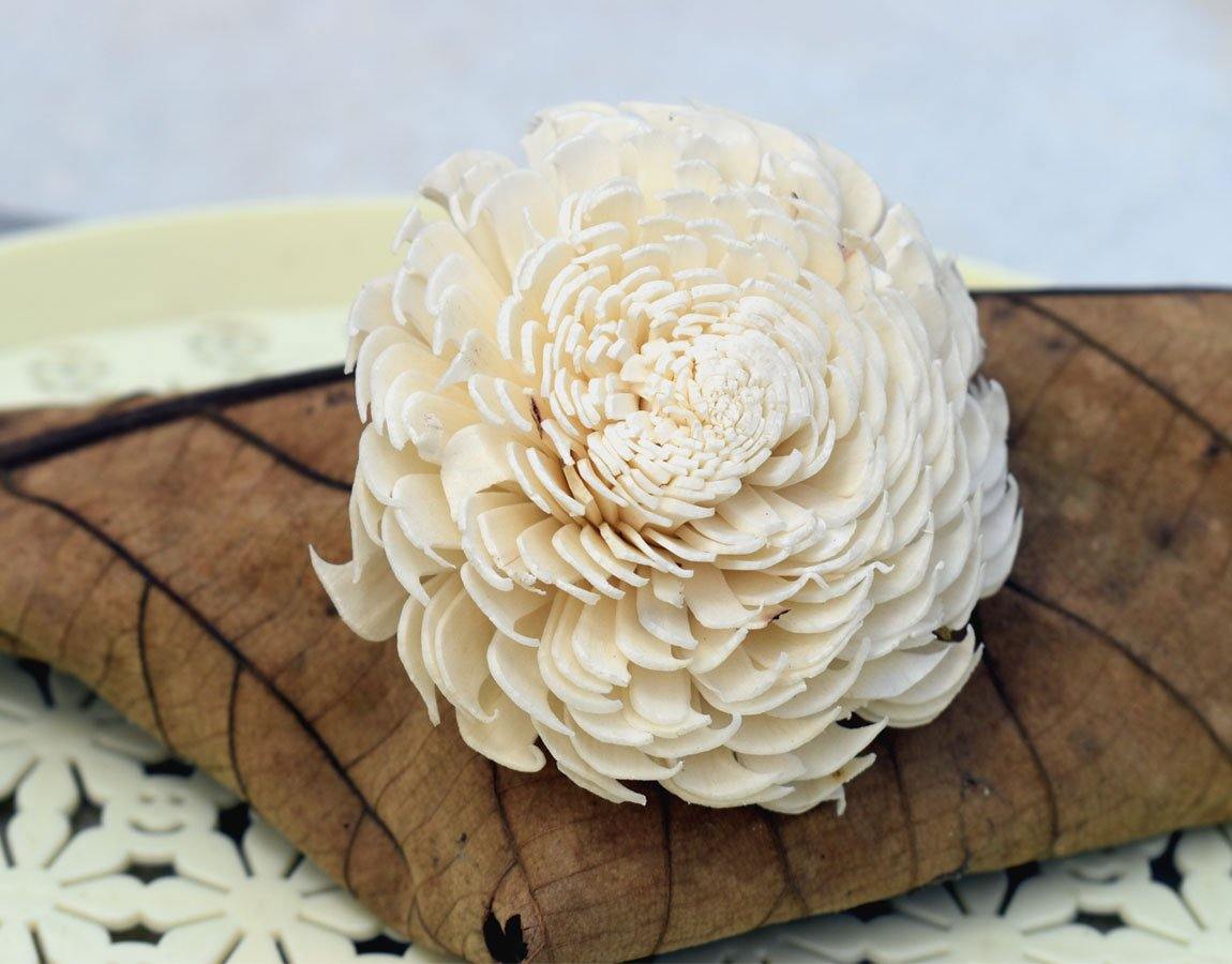 Cedar Sola Wood Flower