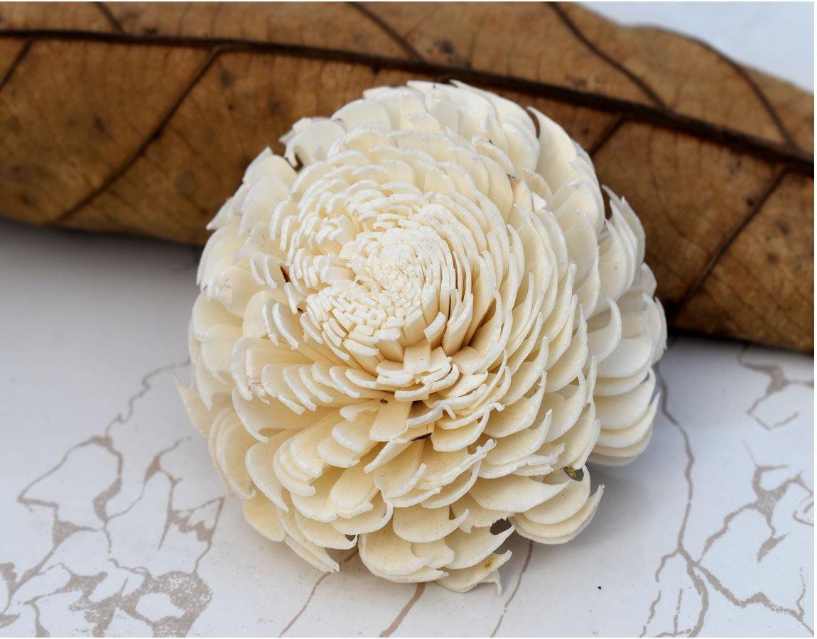 Cedar Sola Wood Flower