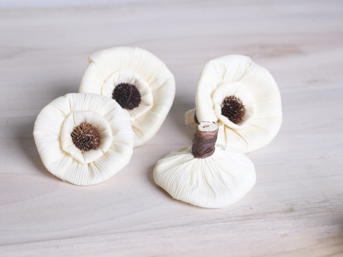 Daisy Corn Rose Flower Loose 6 Cm Natural White Color