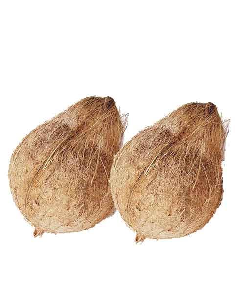 Raw Coconut for Puja &  Cooking 2 Pcs
