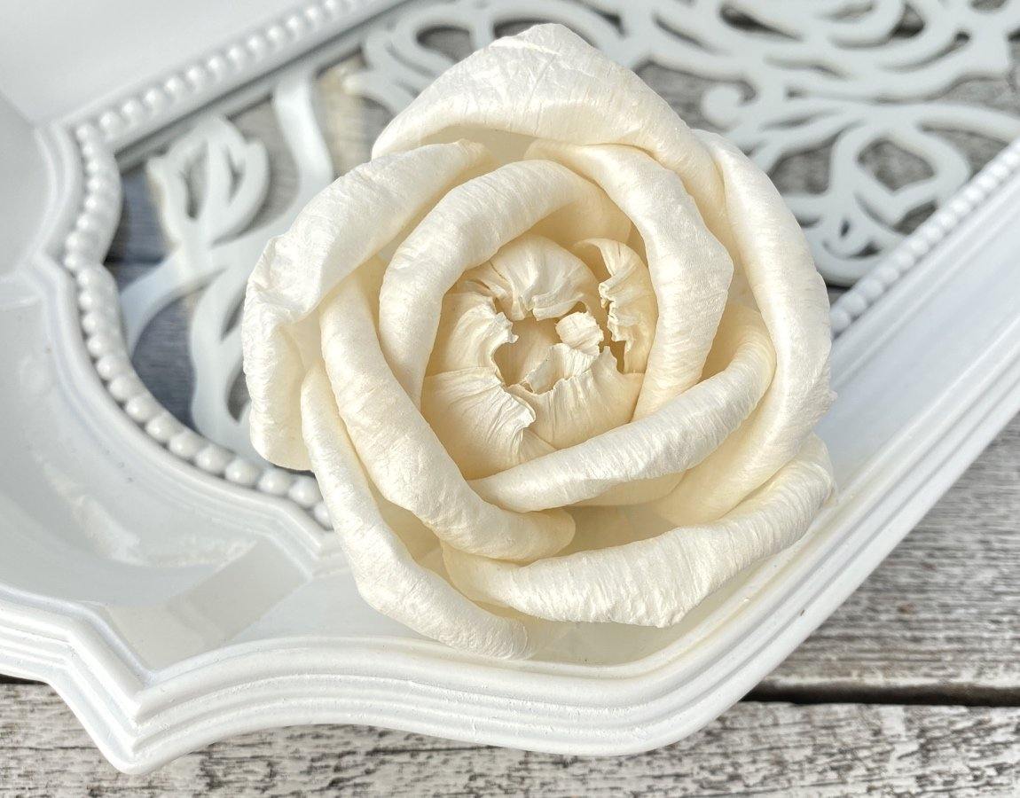 Gloriana Sola Wood Flower
