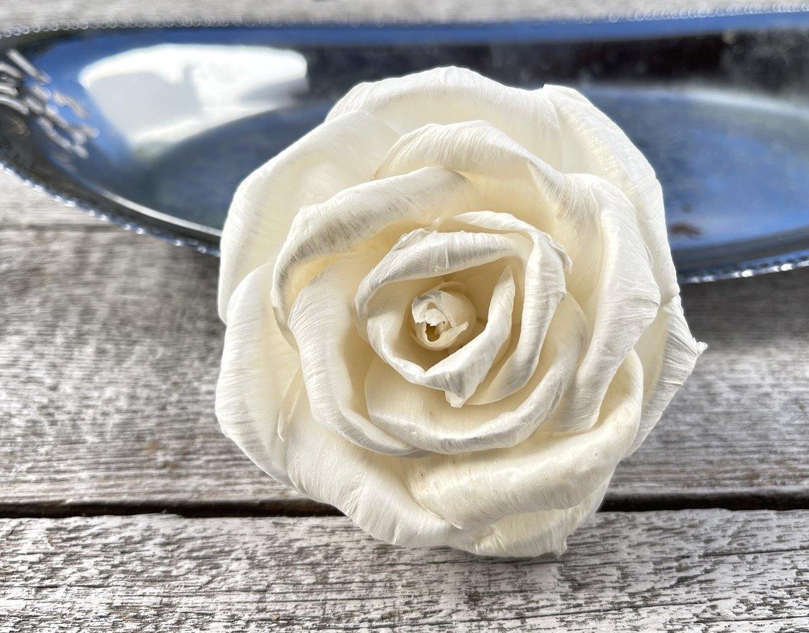 Eris Sola Wood Flower