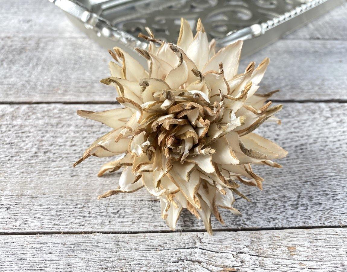 Firefly Sola Wood Flower
