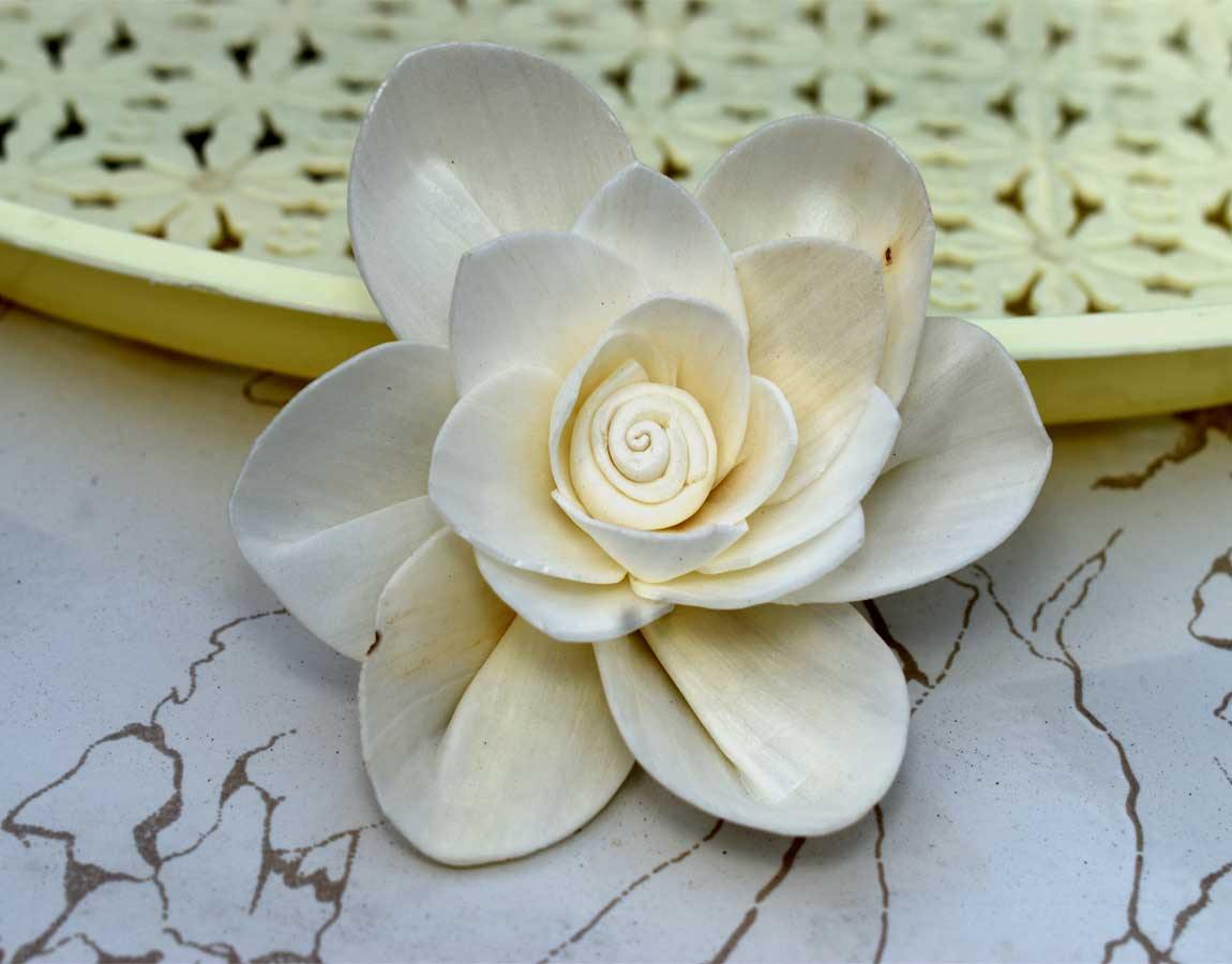Fleur Sola Wood Flower