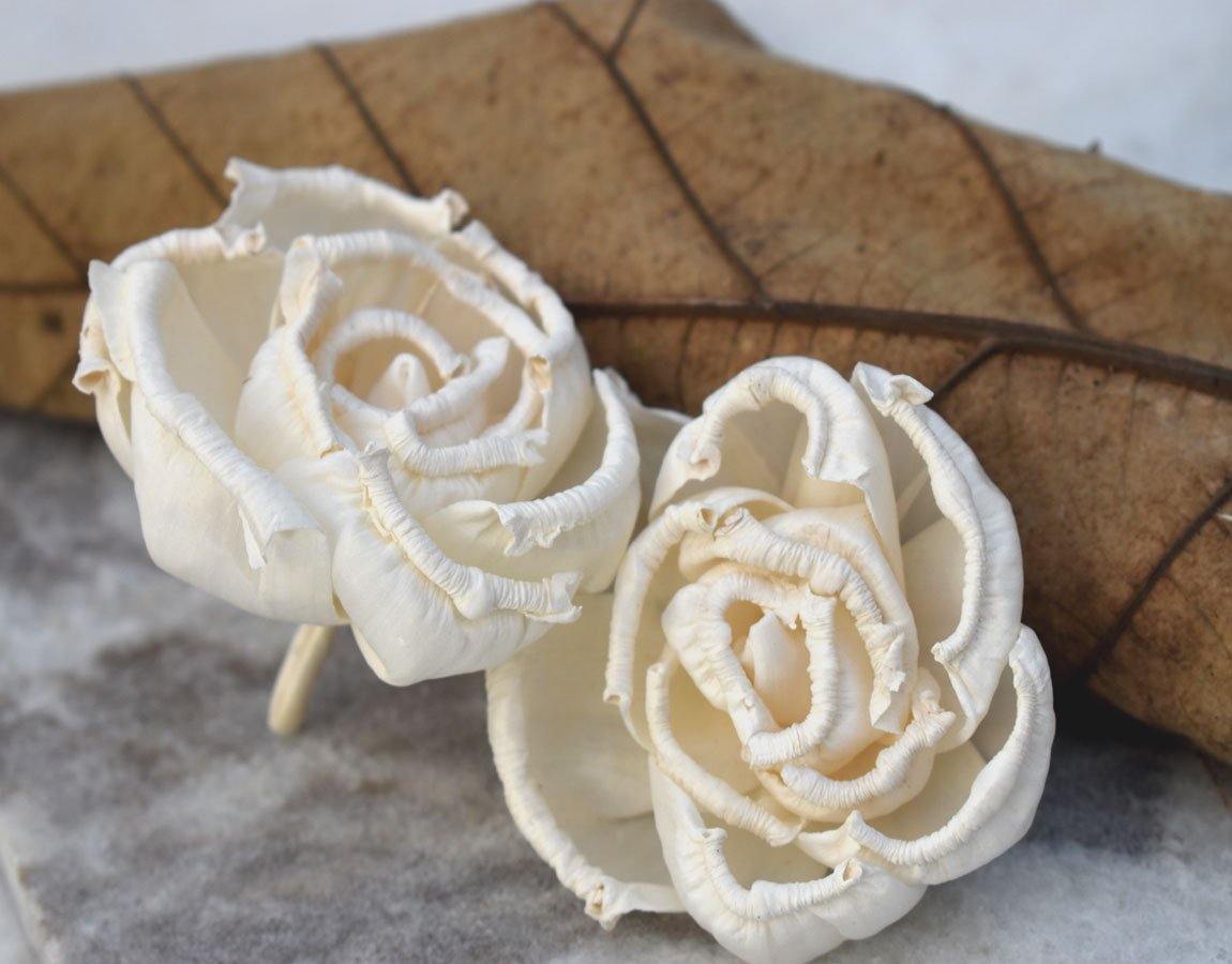 Floryn Sola Wood Flower