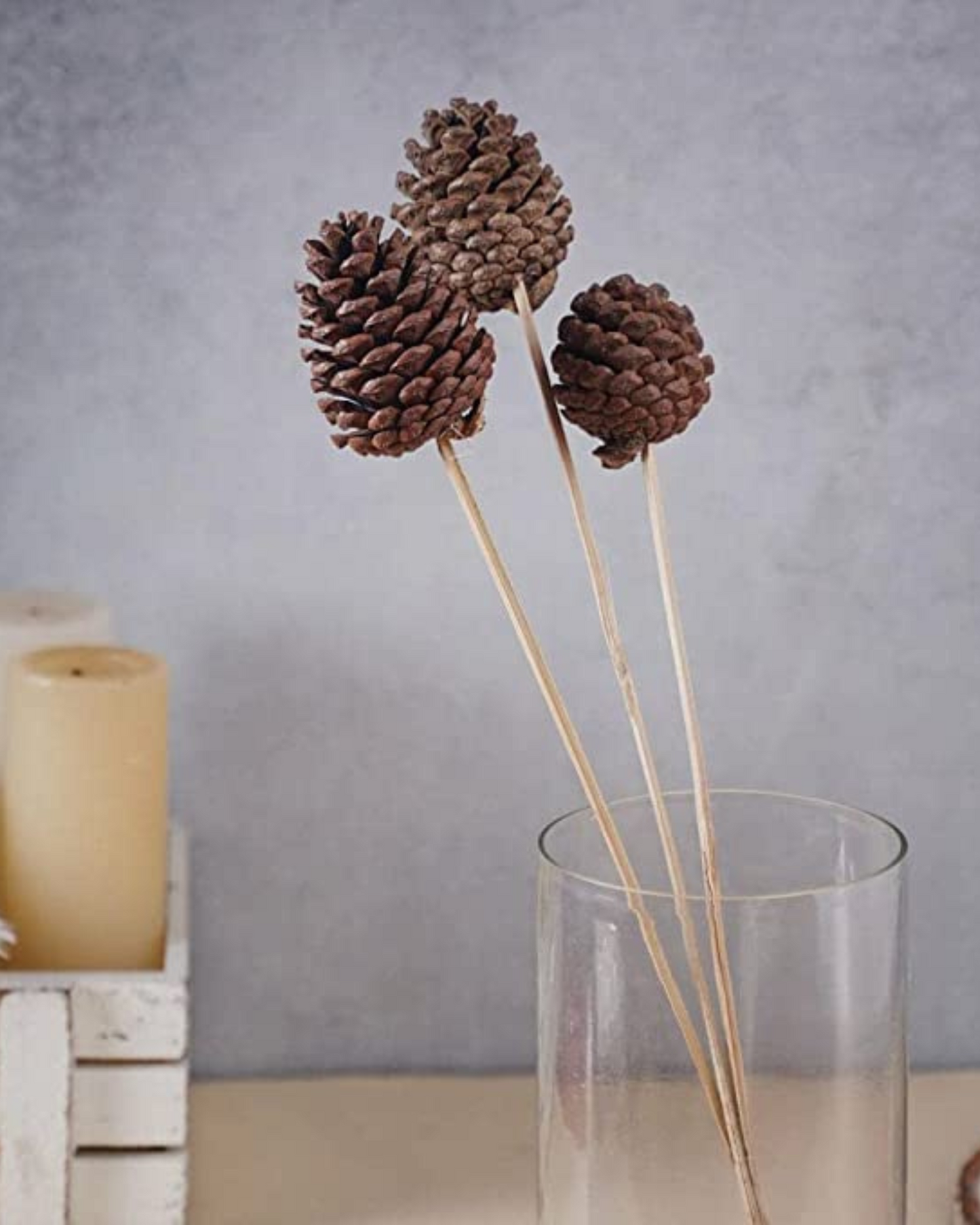 Pine Cone Stick
