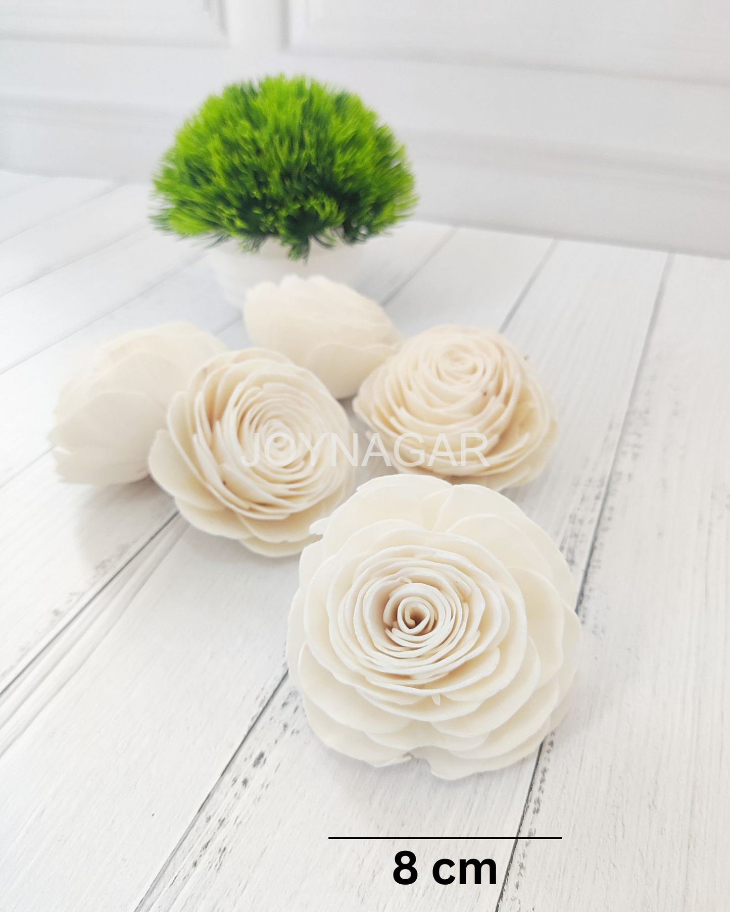 Beauty Rose Sola Wood Flower Loose