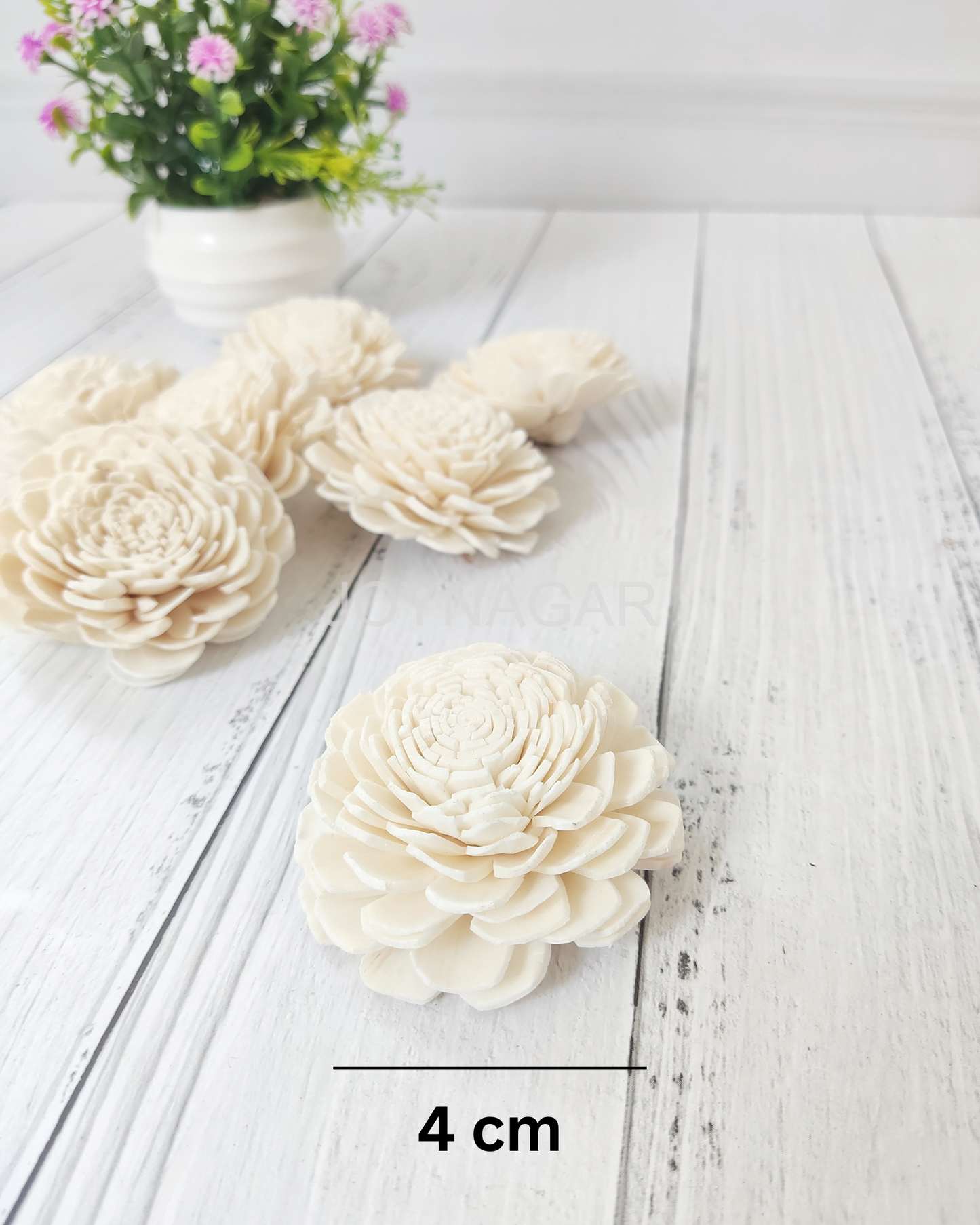 Belli Sola Wood Flower