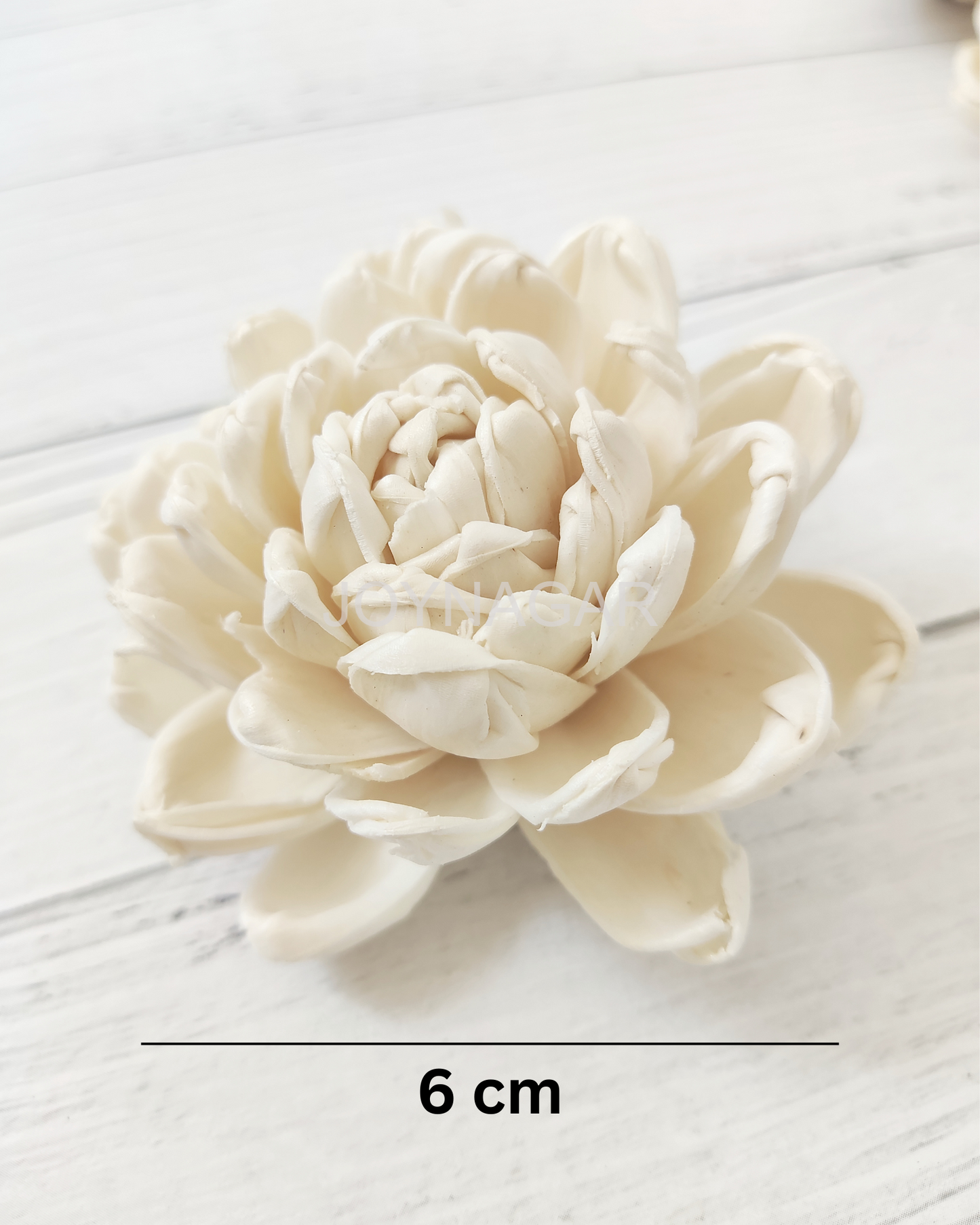Curl Beauty Sola Wood Flower
