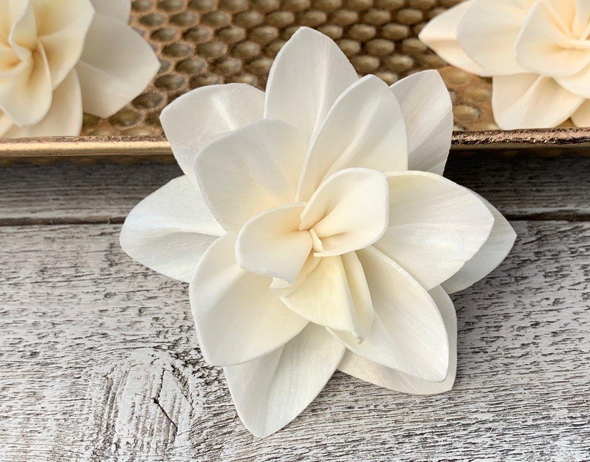 Jenella Sola Wood Flower