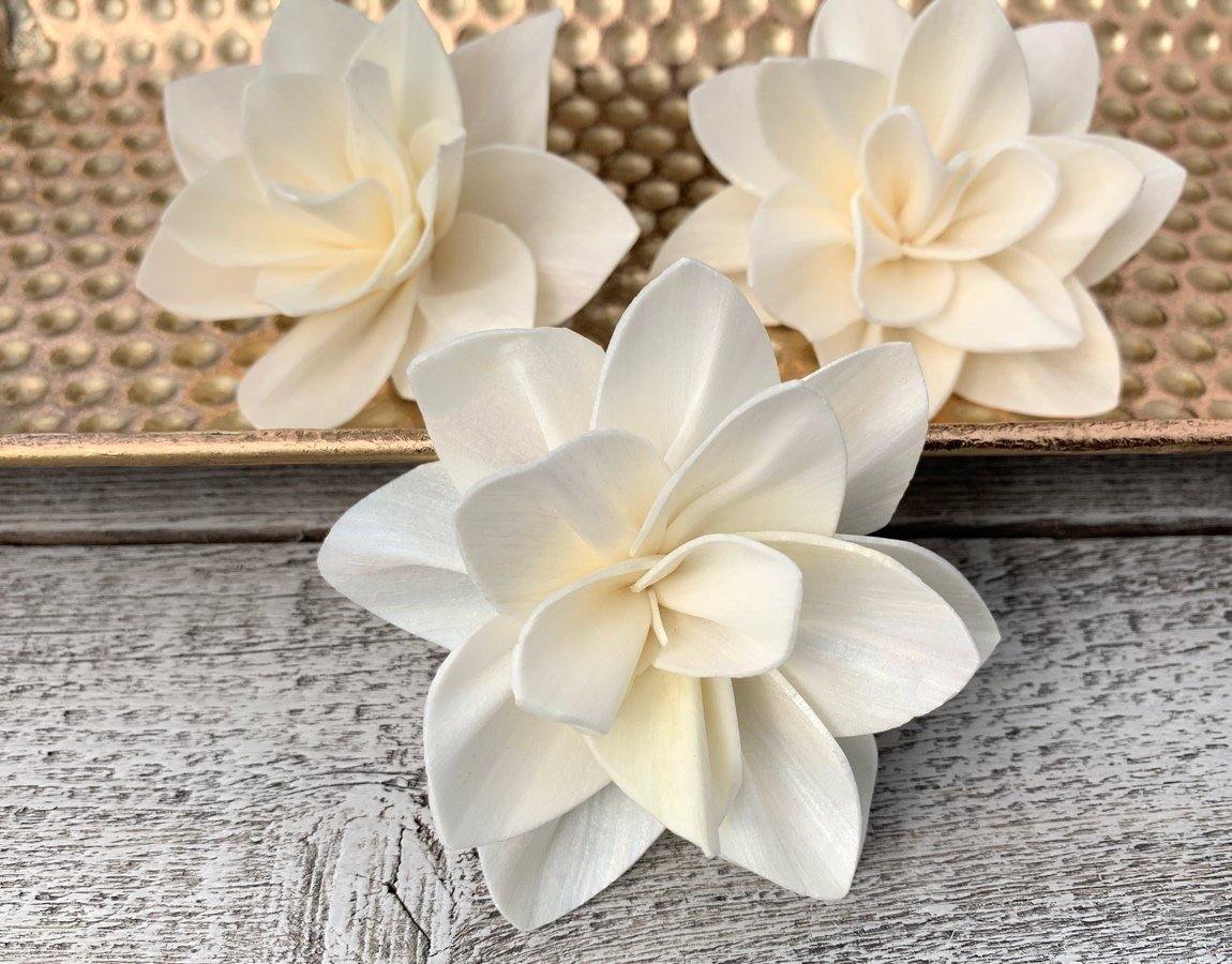 Jenella Sola Wood Flower