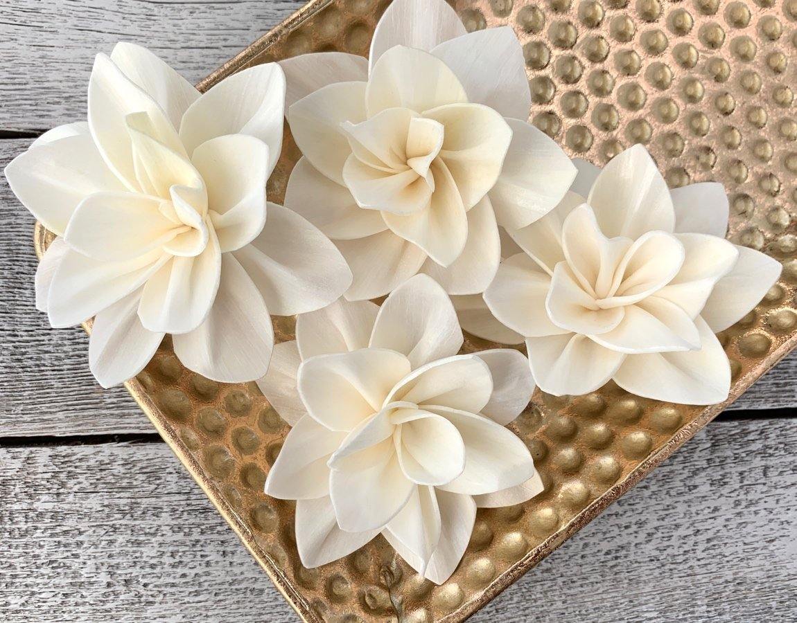 Jenella Sola Wood Flower