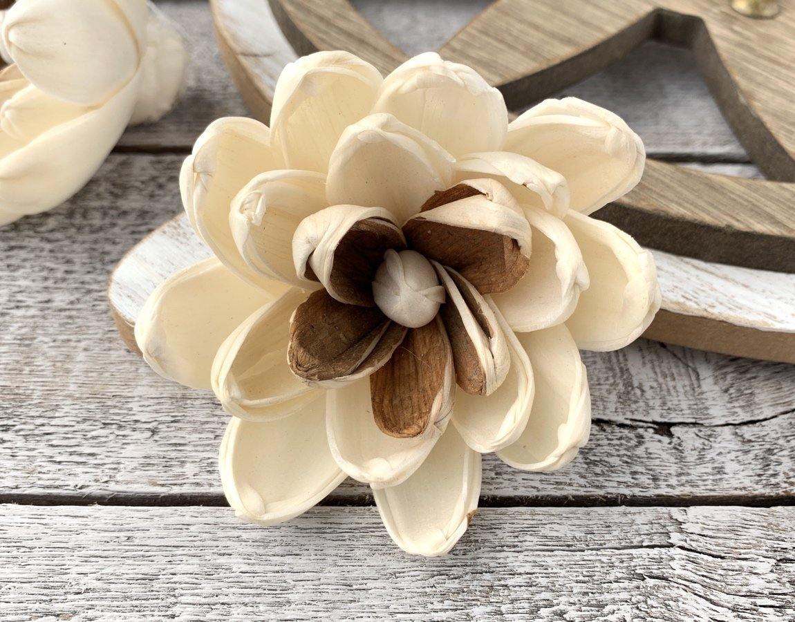 Joie Sola Wood Flower