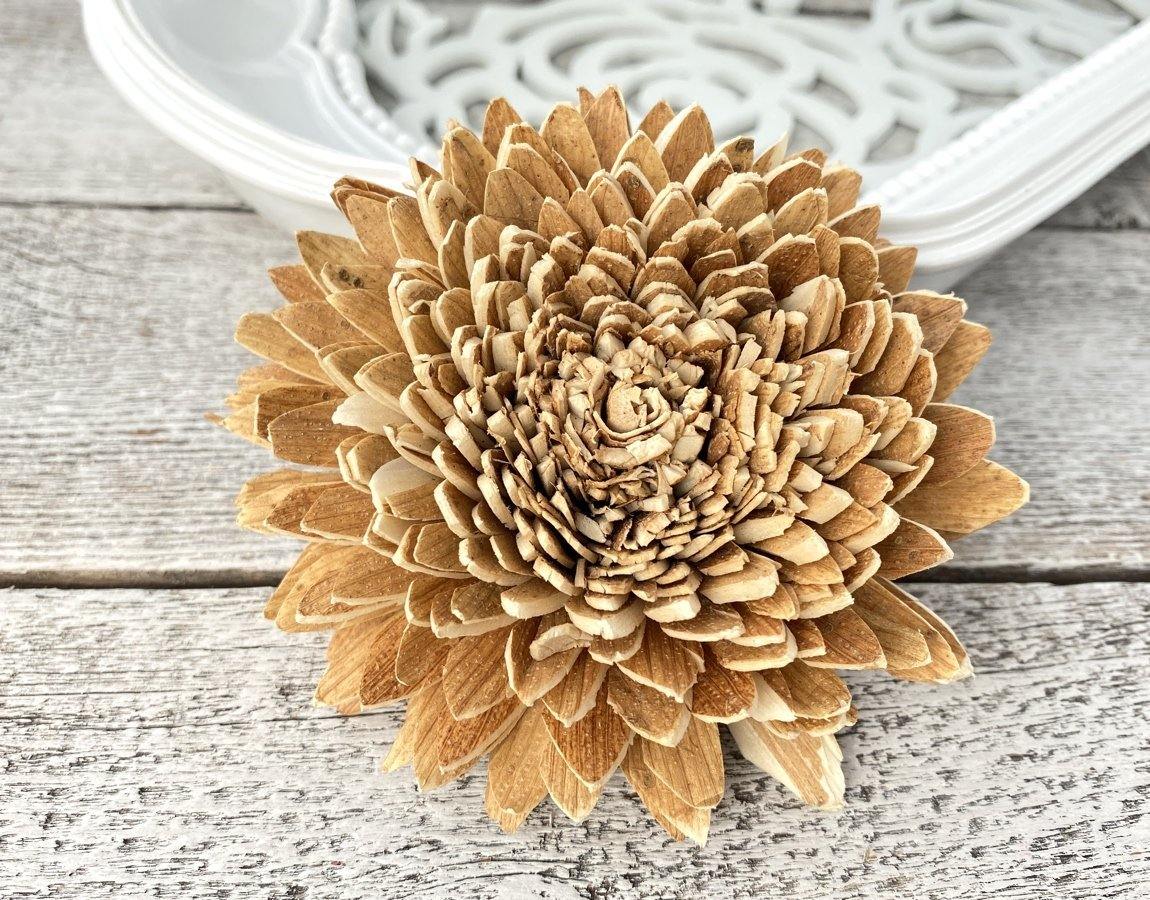 Skin Zinnia Sola Flower