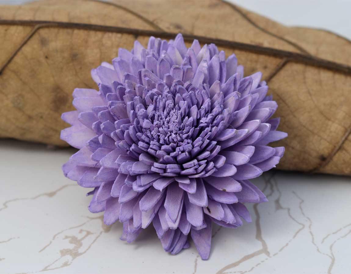 Wild Zinnia Sola Wood Flower