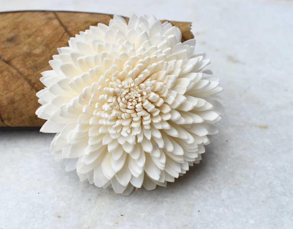 Wild Zinnia Sola Wood Flower