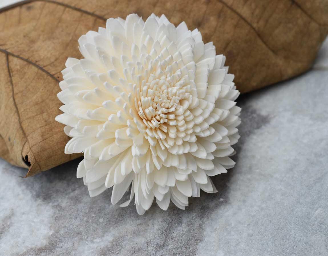 Wild Zinnia Sola Wood Flower