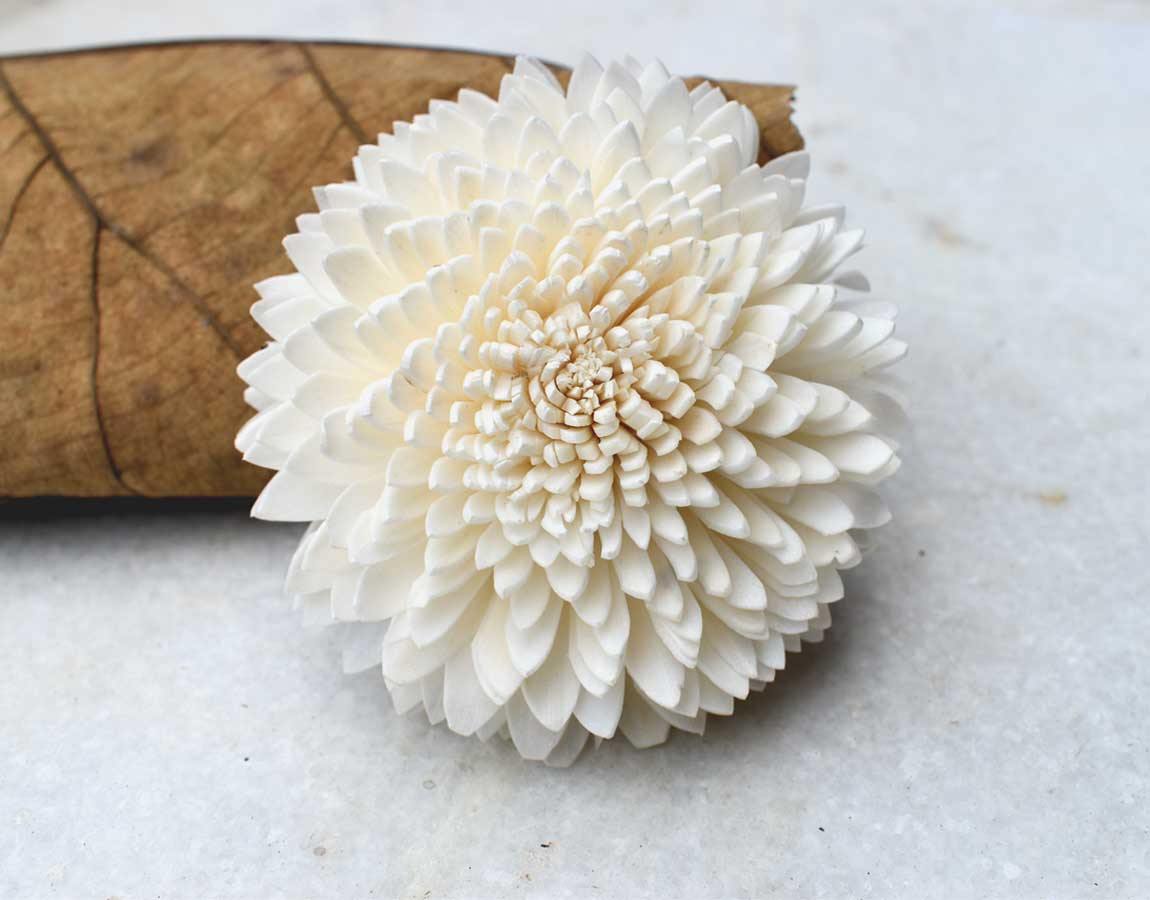Wild Zinnia Sola Wood Flower