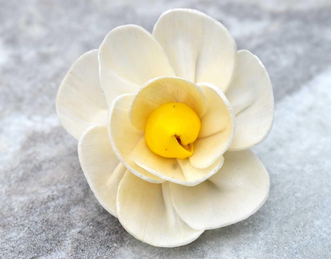 Yellow Harmony Sola Wood Flower Head