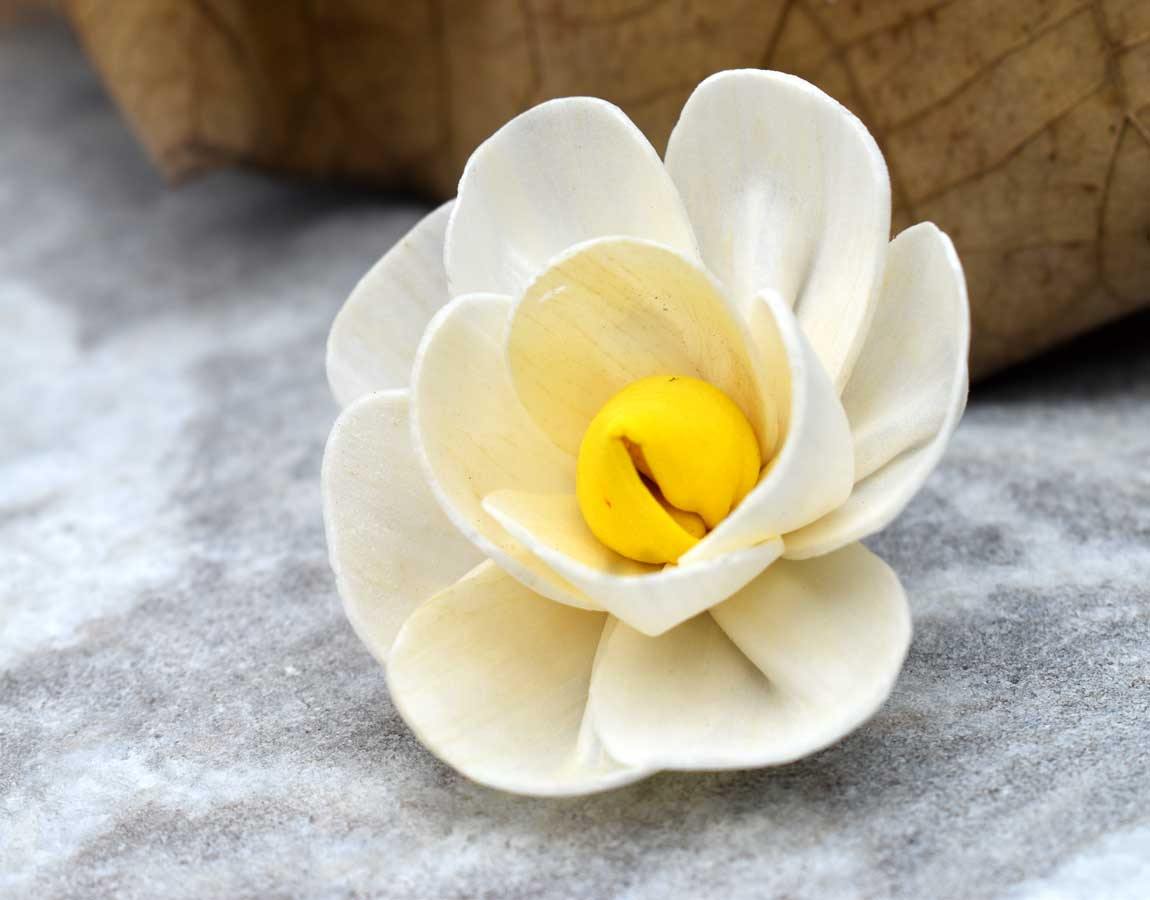 Yellow Harmony Sola Wood Flower Head
