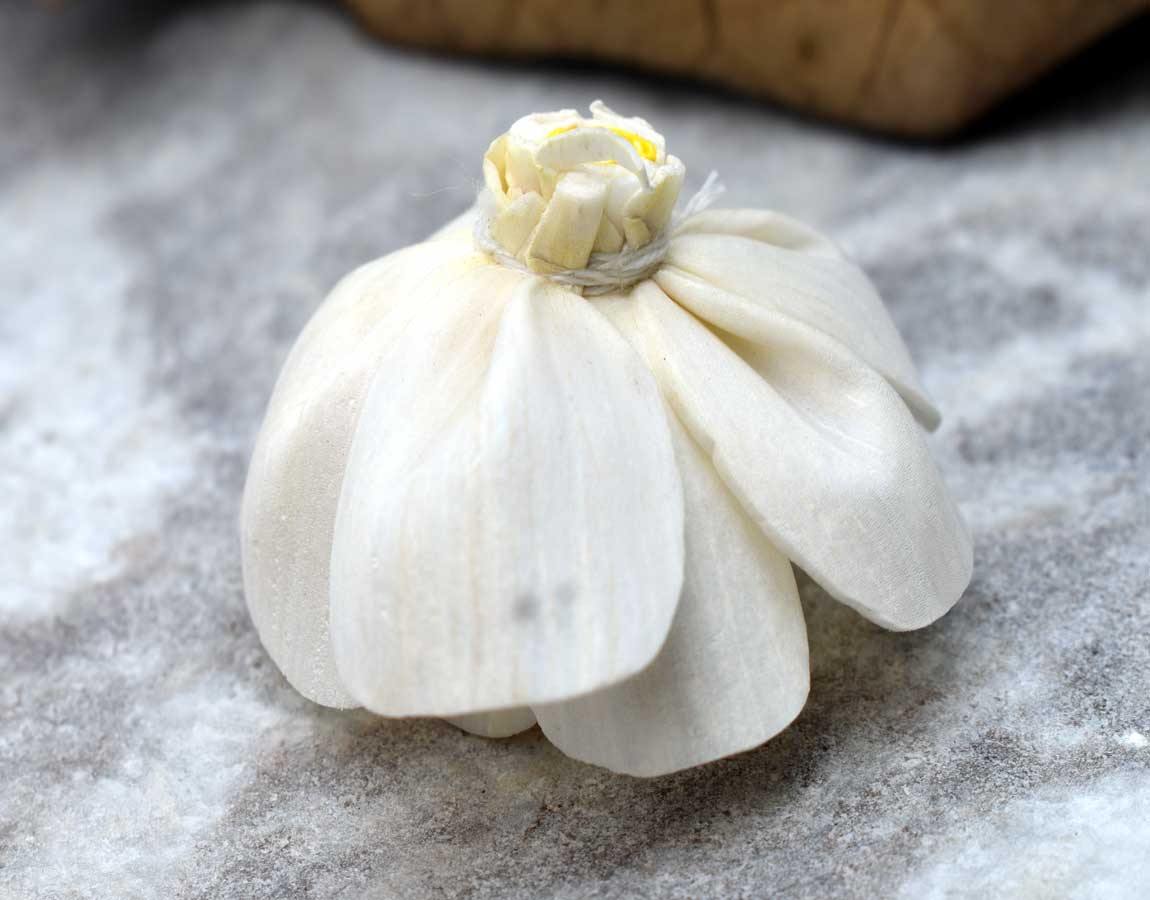 Yellow Harmony Sola Wood Flower Head