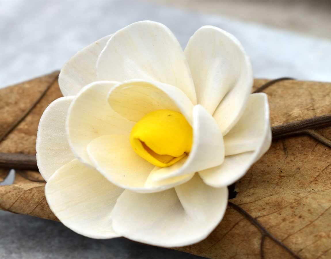 Yellow Harmony Sola Wood Flower Head