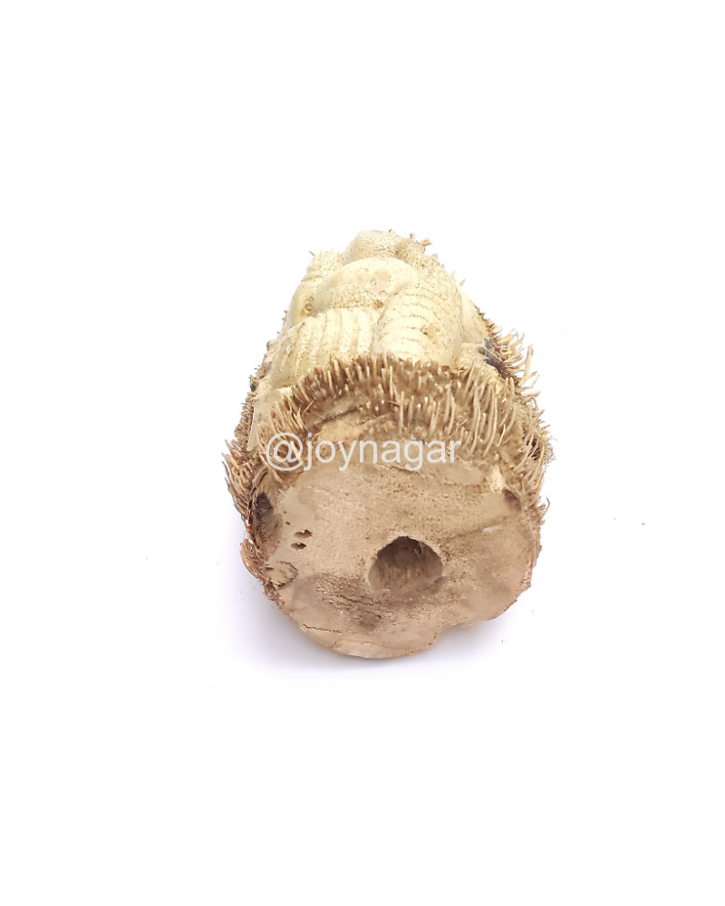 Bamboo Root Natural Handmade Ganesh Murti