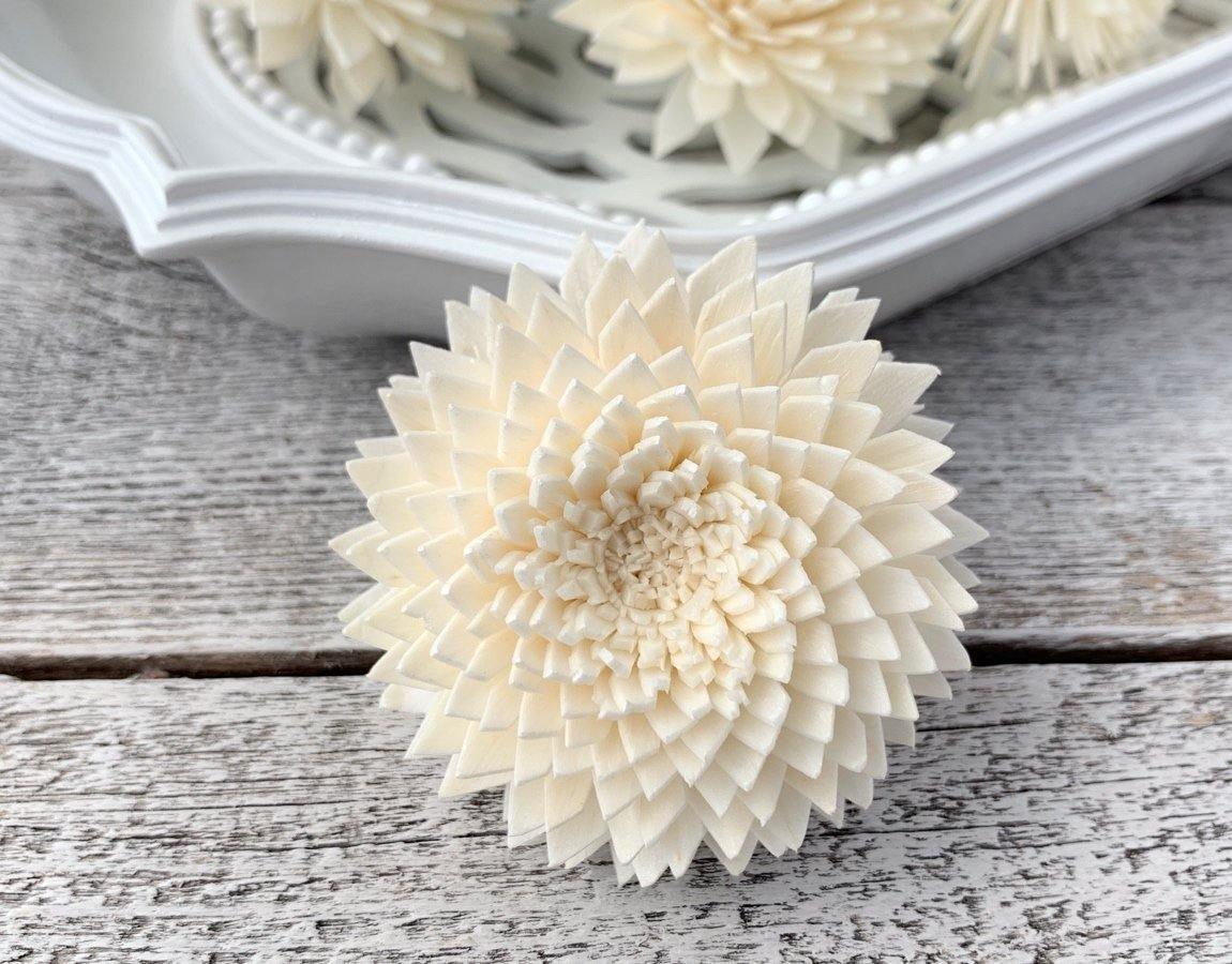 Chrysanthemum Sola Wood Flower