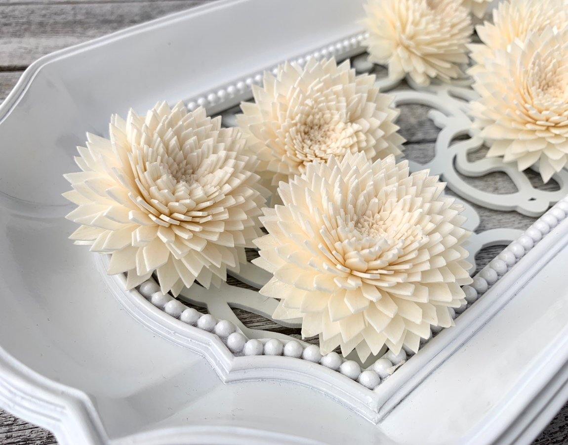 Chrysanthemum Sola Wood Flower
