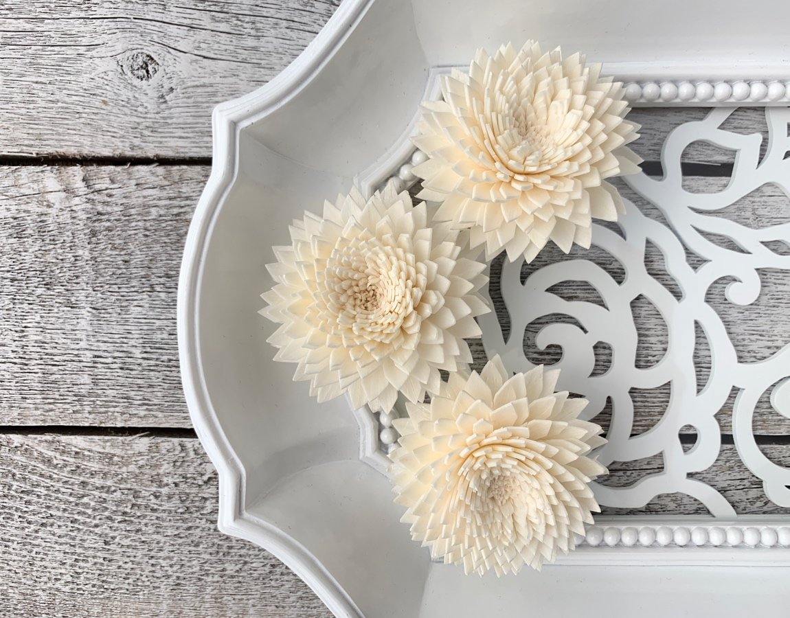 Chrysanthemum Sola Wood Flower
