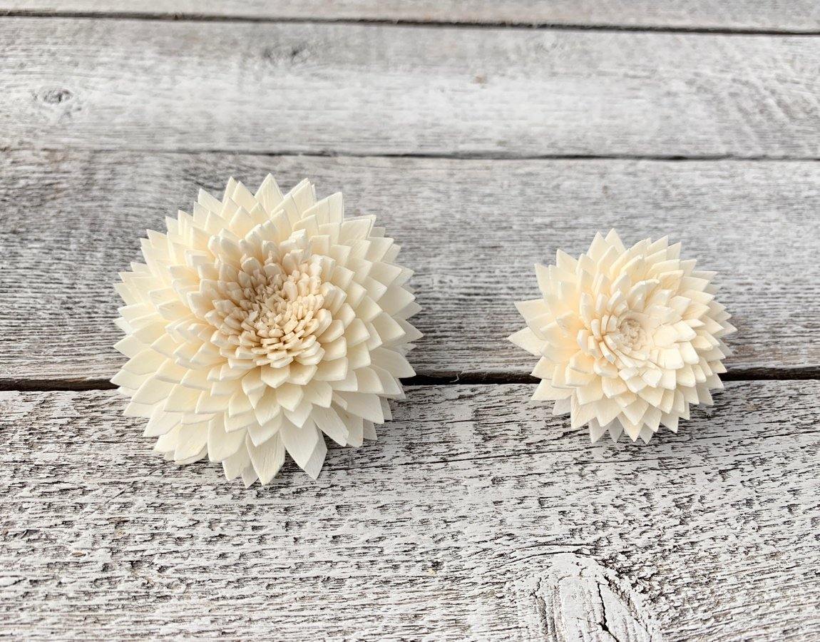 Chrysanthemum Sola Wood Flower