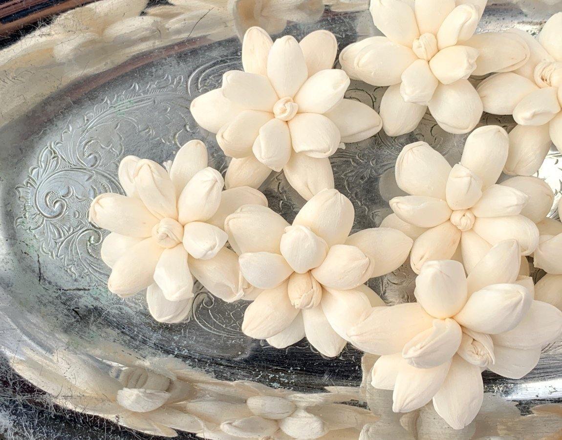 Shelia Sola Wood Flower