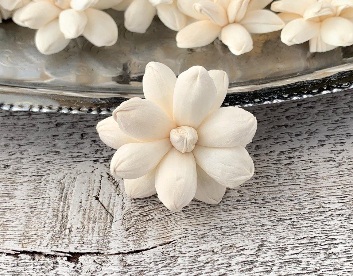 Shelia Sola Wood Flower